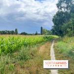 Le long de l'Oise, entre Auvers-sur-Oise et l'Isle-Adam