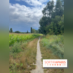 Le long de l'Oise, entre Auvers-sur-Oise et l'Isle-Adam