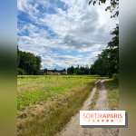Le long de l'Oise, entre Auvers-sur-Oise et l'Isle-Adam