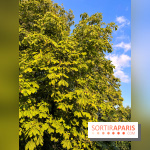 Le long de l'Oise, entre Auvers-sur-Oise et l'Isle-Adam - image00017