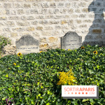 Le long de l'Oise, entre Auvers-sur-Oise et l'Isle-Adam