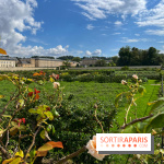 Potager du Roi