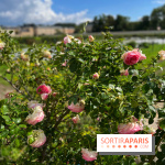 Potager du Roi