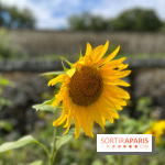 Potager du Roi