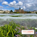 Potager du Roi - IMG 4206