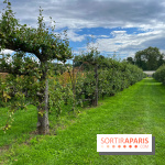 Potager du Roi