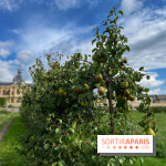 Potager du Roi