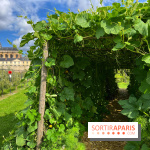 Potager du Roi