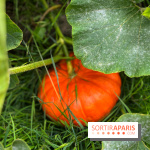 Potager du Roi