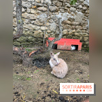La ferme de Saint-Cyr l'Ecole - image00066