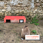 La ferme de Saint-Cyr l'Ecole - image00063