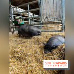La ferme de Saint-Cyr l'Ecole