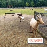 La ferme de Saint-Cyr l'Ecole