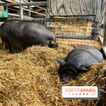 La ferme de Saint-Cyr l'Ecole - image00059