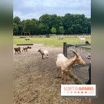 La ferme de Saint-Cyr l'Ecole - image00055