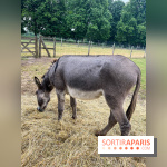 La ferme de Saint-Cyr l'Ecole - image00050