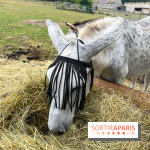 La ferme de Saint-Cyr l'Ecole - image00052