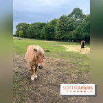 La ferme de Saint-Cyr l'Ecole - image00045