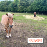 La ferme de Saint-Cyr l'Ecole - image00046