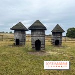 La ferme de Saint-Cyr l'Ecole - image00048