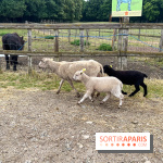 La ferme de Saint-Cyr l'Ecole - image00041