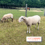 La ferme de Saint-Cyr l'Ecole - image00040
