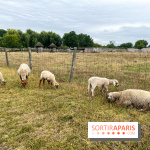 La ferme de Saint-Cyr l'Ecole - image00036