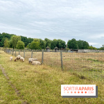 La ferme de Saint-Cyr l'Ecole