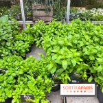 La ferme de Saint-Cyr l'Ecole - image00016