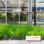 La ferme de Saint-Cyr l'Ecole - image00013