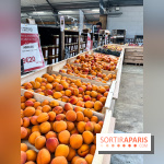 La ferme de Saint-Cyr l'Ecole - image00003