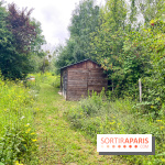 Le parc de la Haute-Île à Neuilly-sur-Marne - image00007