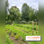 Les Rives de Paris, l'unique camping du 93 à Neuilly-sur-Marne - image00065