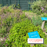 Le parc Georges Brassens, pour se croire à la campagne dans le 15e