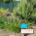 Le parc Georges Brassens, pour se croire à la campagne dans le 15e - image00064