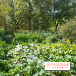 Le parc Georges Brassens, pour se croire à la campagne dans le 15e - image00056