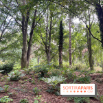 Le parc Georges Brassens, pour se croire à la campagne dans le 15e - image00034