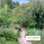 Le parc Georges Brassens, pour se croire à la campagne dans le 15e - image00023