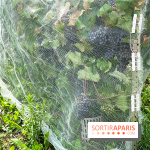 Le parc Georges Brassens, pour se croire à la campagne dans le 15e - image00025