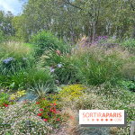 Le parc Georges Brassens, pour se croire à la campagne dans le 15e - image00017