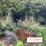 Le parc Georges Brassens, pour se croire à la campagne dans le 15e - image00018