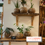 Boby la Plante