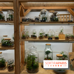 Boby la Plante