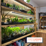 Boby la Plante