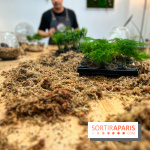 Boby la Plante - IMG 4340