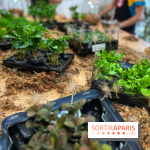 Boby la Plante - IMG 4343