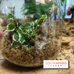 Boby la Plante