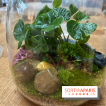 Boby la Plante