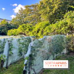 Vignes de Belleville - image00005