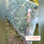 Vignes de Belleville - image00002